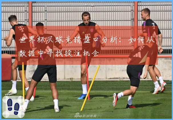 世界杯买球竞猜盘口分析：如何从数据中寻找投注机会