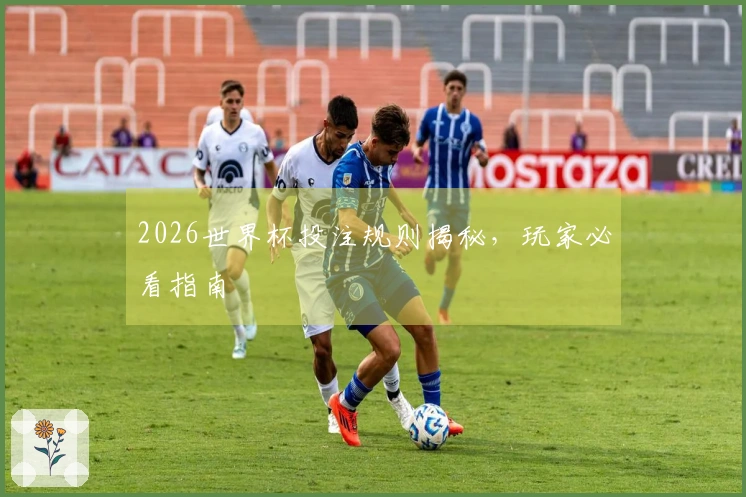 2026世界杯投注规则揭秘，玩家必看指南